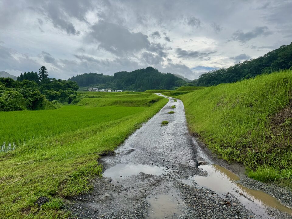 「カフェパラム」への道