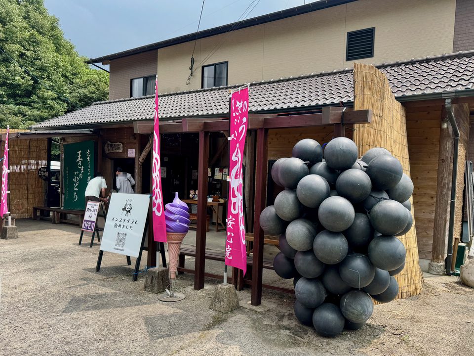 「王さまのぶどう」外観