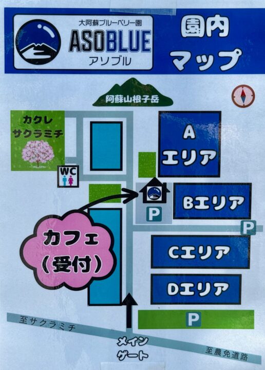 大阿蘇ブルーベリー園
