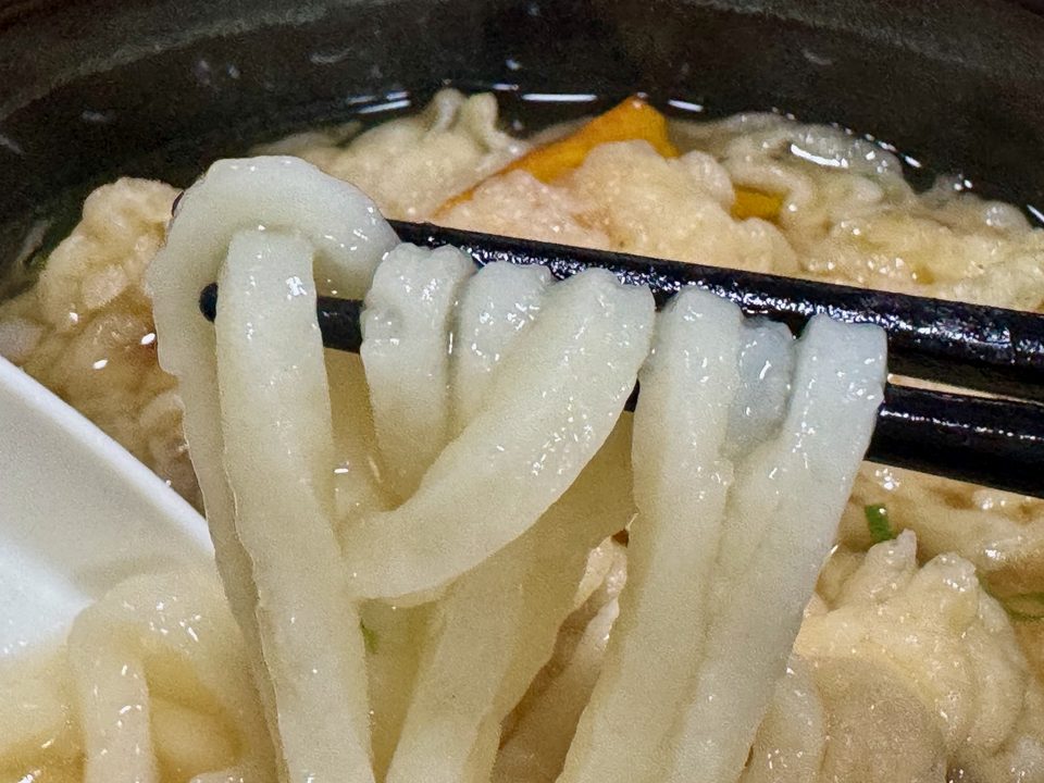「総本家手打ちうどん博士」天婦羅うどん