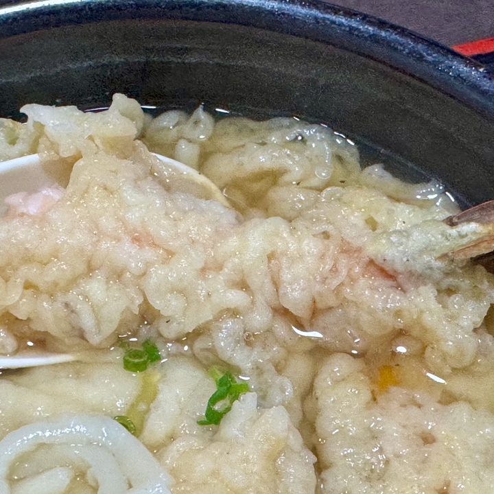 「総本家手打ちうどん博士」天婦羅うどん