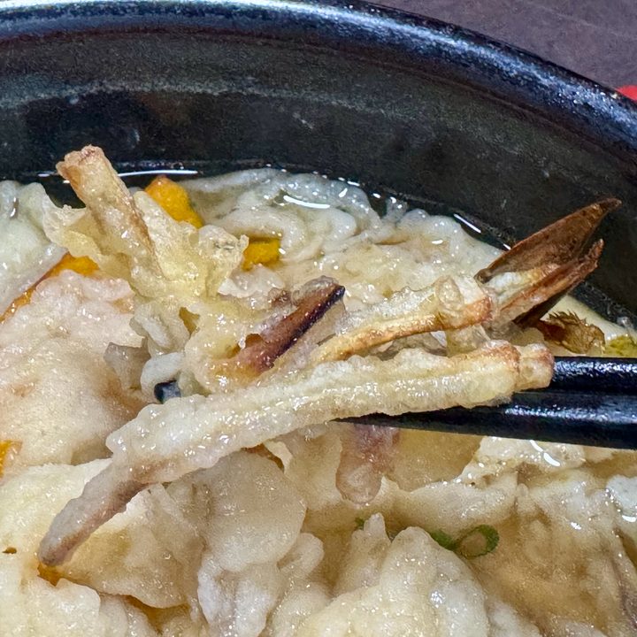 「総本家手打ちうどん博士」天婦羅うどん