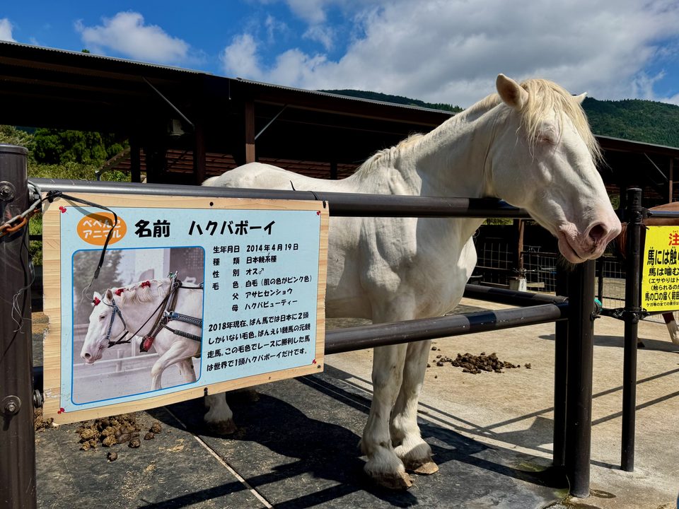 「農家レストラン べべんこ」動物コーナー