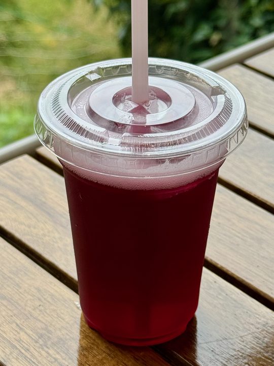 「農園カフェ のんびり」自家製ブルーベリービネガーソーダ
